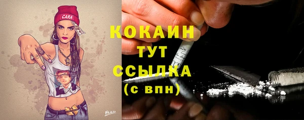 прущий лед Ельня