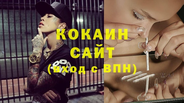 прущий лед Ельня