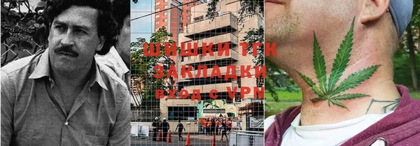 прущий лед Ельня