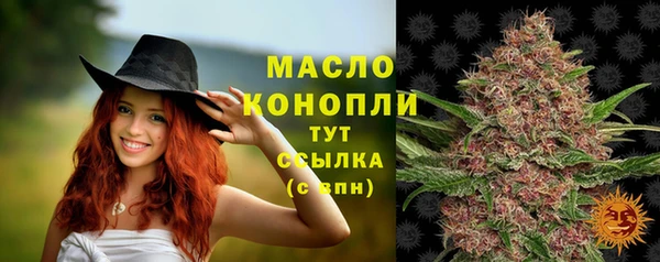mdpv Елабуга
