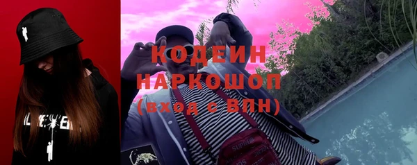 прущий лед Ельня
