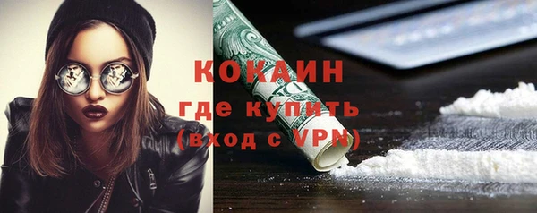 прущий лед Ельня