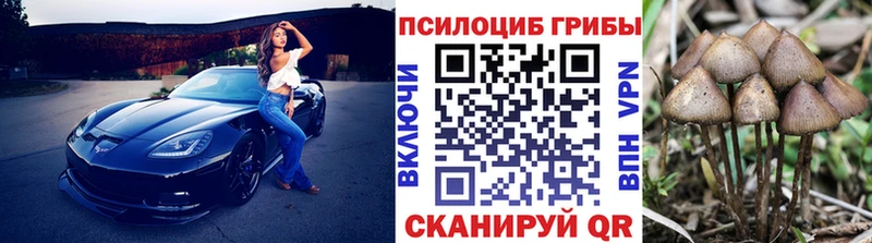 Псилоцибиновые грибы MAGIC MUSHROOMS  Купить закладки  Бирюсинск 